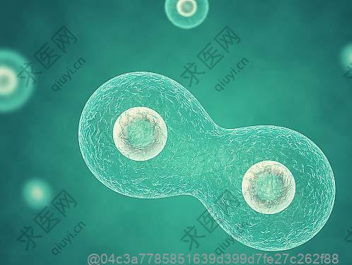 甲状腺彩超3级和4a会是误差吗