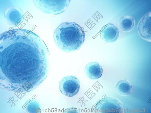 甲状腺彩超做出来结果4a类