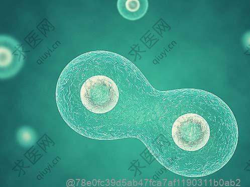 甲状腺彩超4b的判断标准是什么