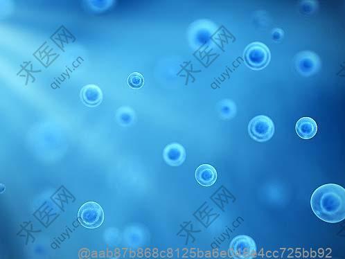 肺部ct检查是什么一次多少钱