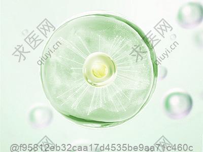 弱精症的发病的主要因素有哪些