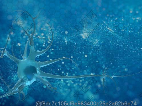做完干细胞可以吃什么多汁水果不寒凉？不寒凉多汁​