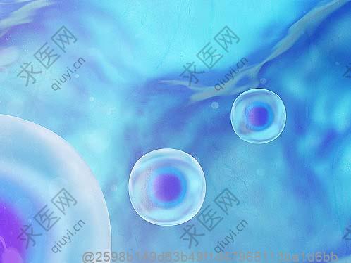 打干细胞后可否吃小米蕉？成熟度分析​