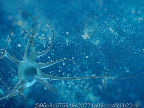 打干细胞时水果摄入与治疗效果的关联深度剖析