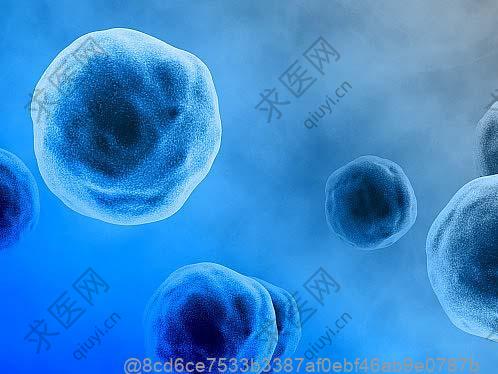 做完干细胞可以吃什么低糖水果适合煮着吃？煮着吃选择​