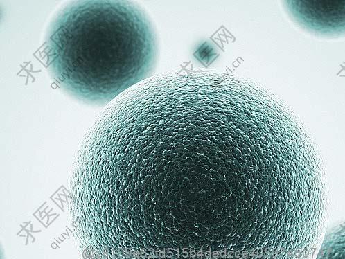 浙江干细胞移植多少钱一次？哪家干细胞好点的医院及注射流程介绍