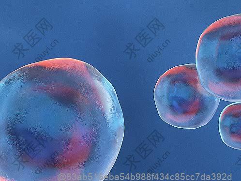 成都有正规干细胞治疗医院吗？具体位置及2025打一针干细胞费用明细