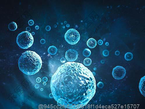 2025年天津干细胞注射价格表：医院与机构价格差异对比