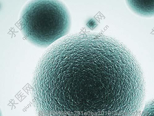 陕西打一针干细胞多少钱？2025年陕西本地干细胞注射费用最新行情