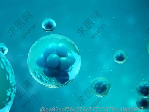 打干细胞期间可以喝胡萝卜汁吗？