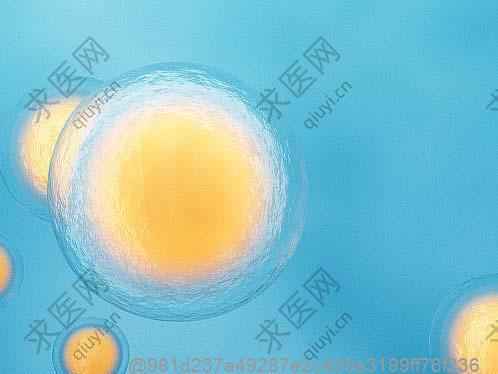 重庆卵巢干细胞一针多少钱？2025最新价格表及移植后饮食菜谱指南