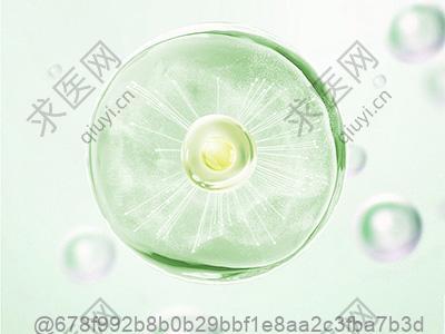 做ct平扫检查出来肺部有东西