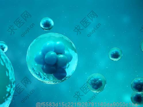 广州打干细胞针去哪里好？间充质干细胞费用及打完能维持多久