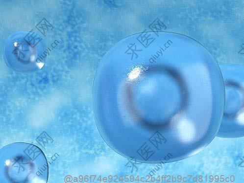 打干细胞10天可以吃什么水果补能量快不腻？不腻快速补能​