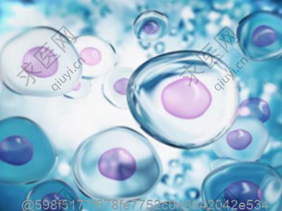 刚打干细胞可以吃什么东西吗？白开水的重要性