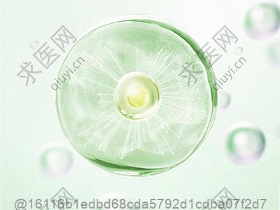 打干细胞可以吃葡萄来改善体质吗？