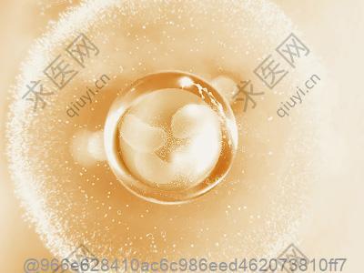 打干细胞可以吃什么保护心血管的食物？