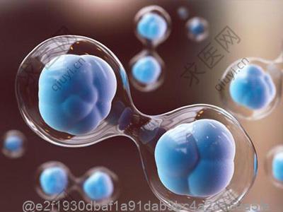 刚打干细胞吃竹笋后腹泻该怎么处理？​