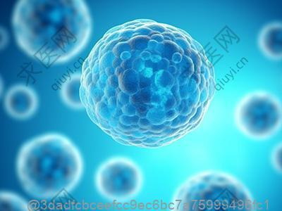 打了干细胞可以吃广西桂林米粉吗？桂北特色食物的食材选择​