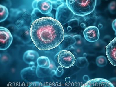 打完干细胞可以吃武汉热干面吗？芝麻酱用量的术后控制方法​