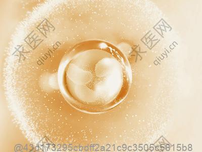 有哪些其他的水果可以作为干细胞治疗后的饮食选择吗？适合过敏体质的水果​