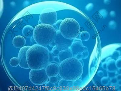 打完干细胞要注意饮食卫生吗？含广东潮汕生腌虾蟹建议​