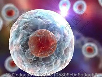 打完干细胞的注意事项有哪些？饮食调理与睡眠改善的配合方案​