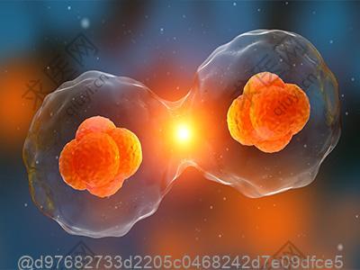 打过干细胞可以吃黑米粥吗？养胃杂粮粥的做法​