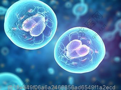 打了干细胞可以吃陕西洋县黑米吗？杂粮蔬菜粥的术后熬煮方法​