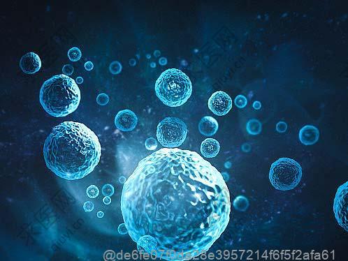 打了干细胞可以喝玉米须水吗？辅助代谢的天然草本饮品​