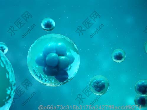 打完干细胞可以喝哪些温热蜂蜜柚子茶？术后润喉的饮品制作方法​
