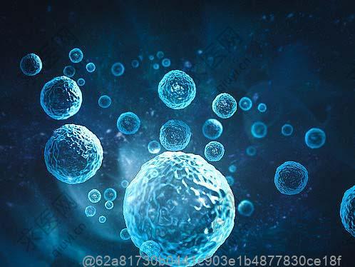 哪种水果对干细胞治疗后更有益？海南文昌椰子水术后饮用价值​