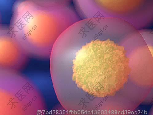 吃辽宁盘锦大米做的米饭行吗？干细胞回输后主食选择注意​