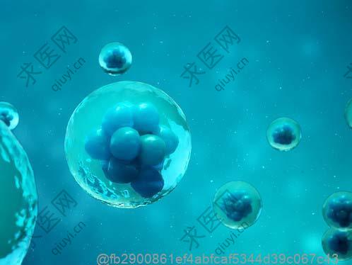 打过干细胞不能吃重庆小面吗？