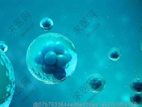 干细胞回输后的注意事项有哪些？