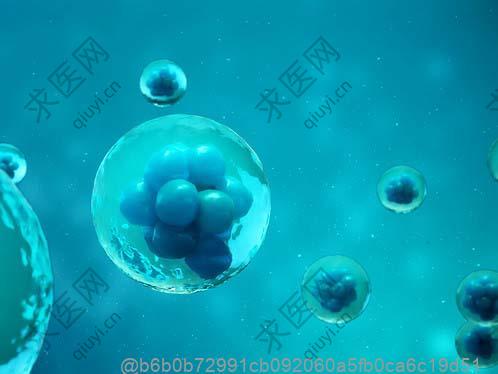 干细胞回输后生活饮食注意事项​