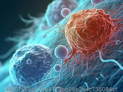 在打完干细胞后可以吃陕西肉夹馍吗？西北患者干细胞治疗后饮食禁忌与适宜食物​