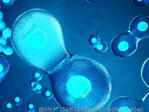 干细胞医院打干细胞多少钱多久打一次？